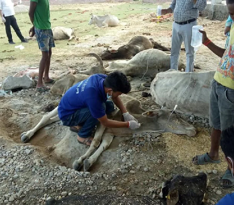 Treatment in Progress